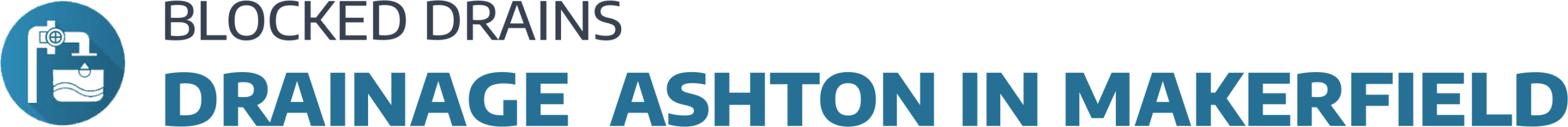 website logo
